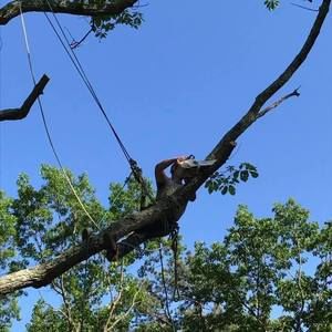 Meet your Posher, Cody